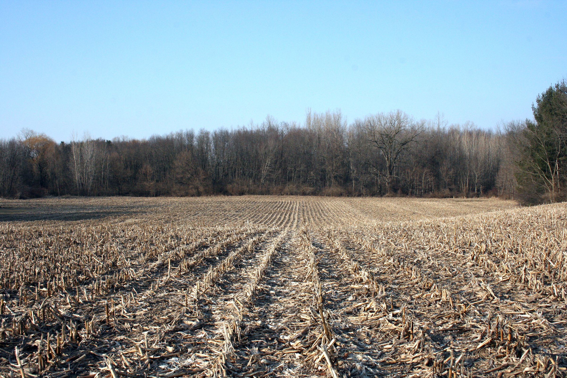 Property photo 7 - REAL ESTATE AUCTION - 84.5+/- ACRES IN 4 TRACTS IN WHITLEY COUNTY, INDIANA